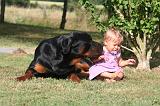 ENFANT ET CHIEN 613